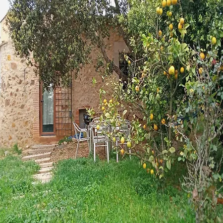 In Catalonia Near Cala Pedrosa