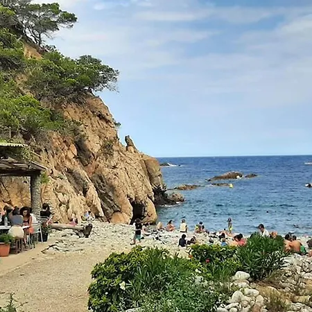 In Catalonia Near Cala Pedrosa
