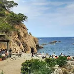 In Catalonia Near Cala Pedrosa