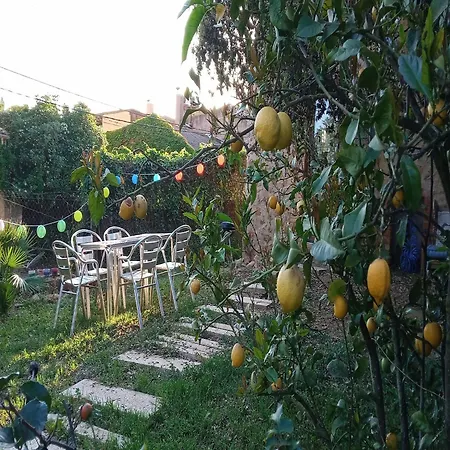 In Catalonia Near Cala Pedrosa *