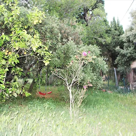 In Catalonia Near Cala Pedrosa