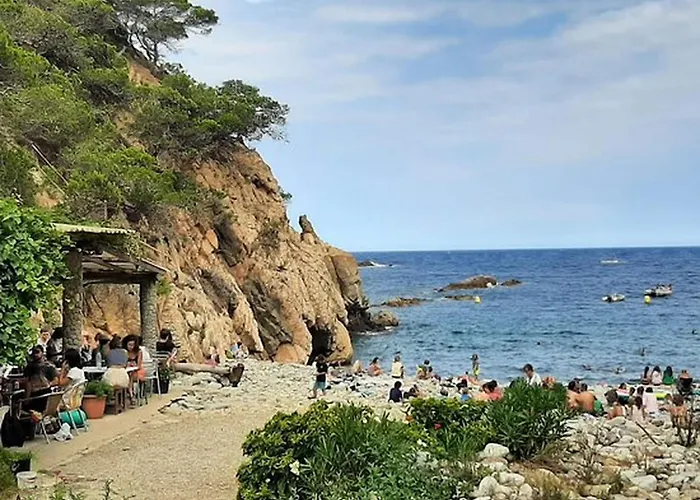 In Catalonia Near Cala Pedrosa