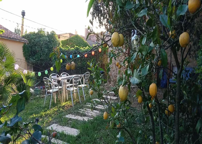 In Catalonia Near Cala Pedrosa *