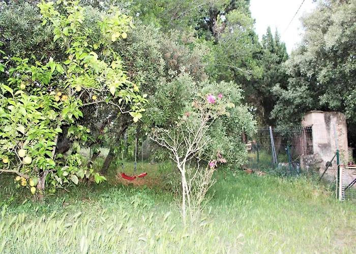 In Catalonia Near Cala Pedrosa